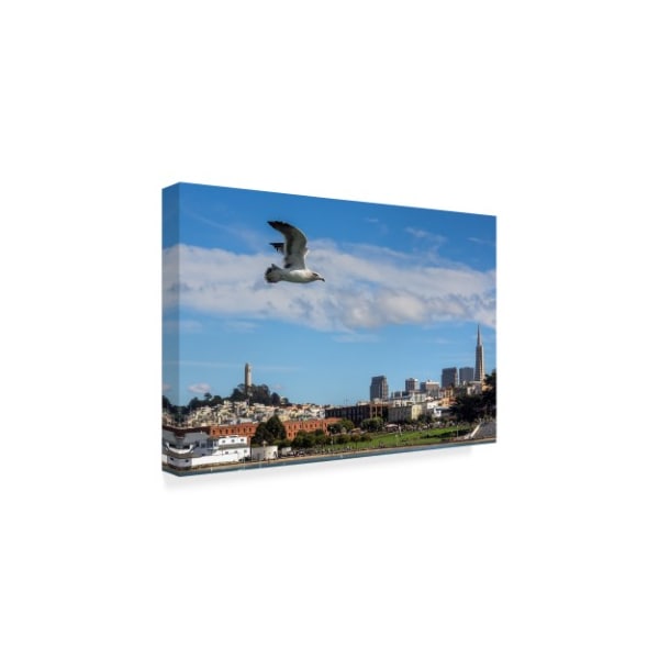 Giuseppe Torre 'Over' Canvas Art,16x24